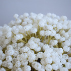 Arranjo Flor Artificial Mosquitinho Branca No Vaso Preto| For